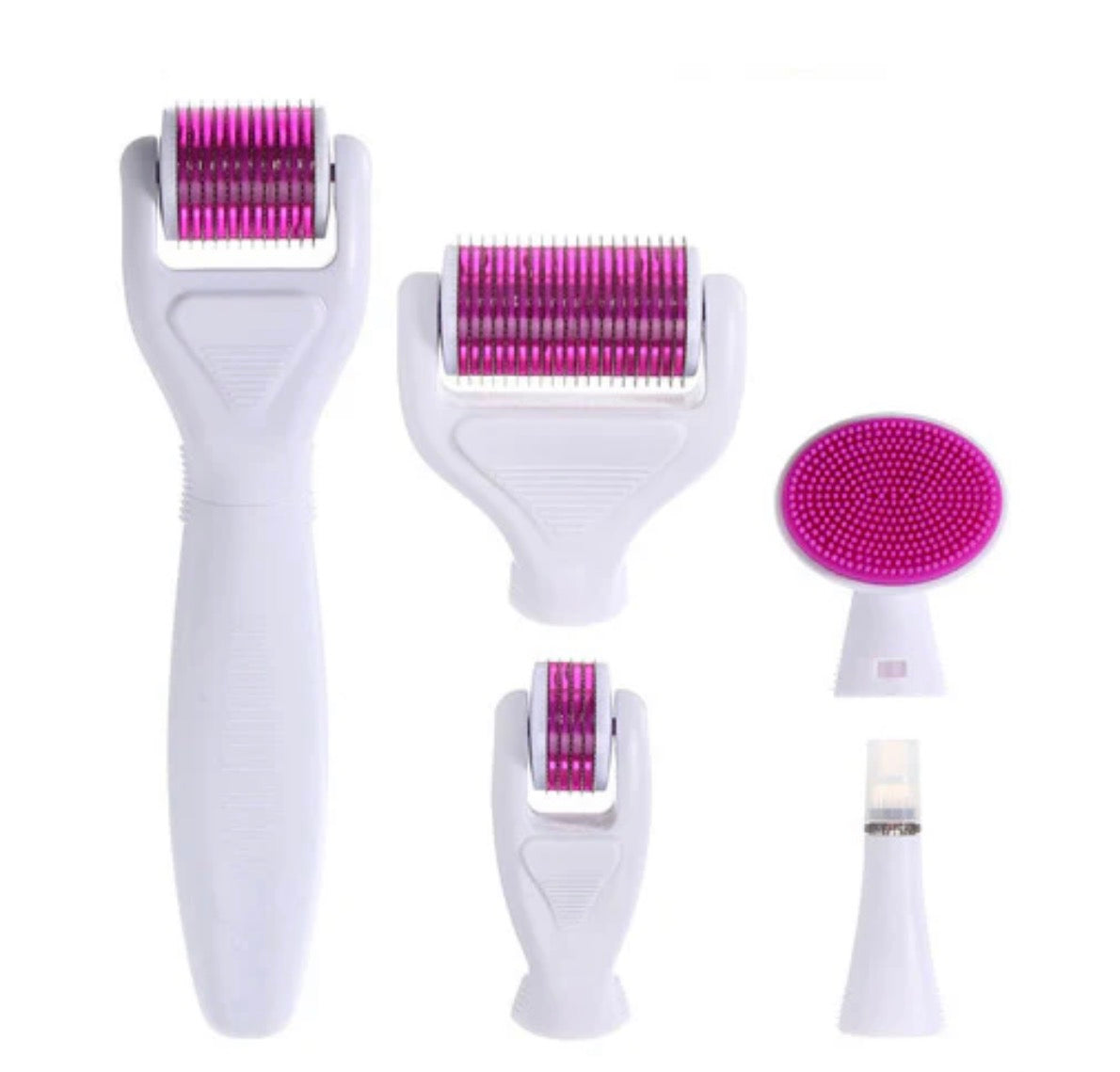 6 in 1 Derma Roller System