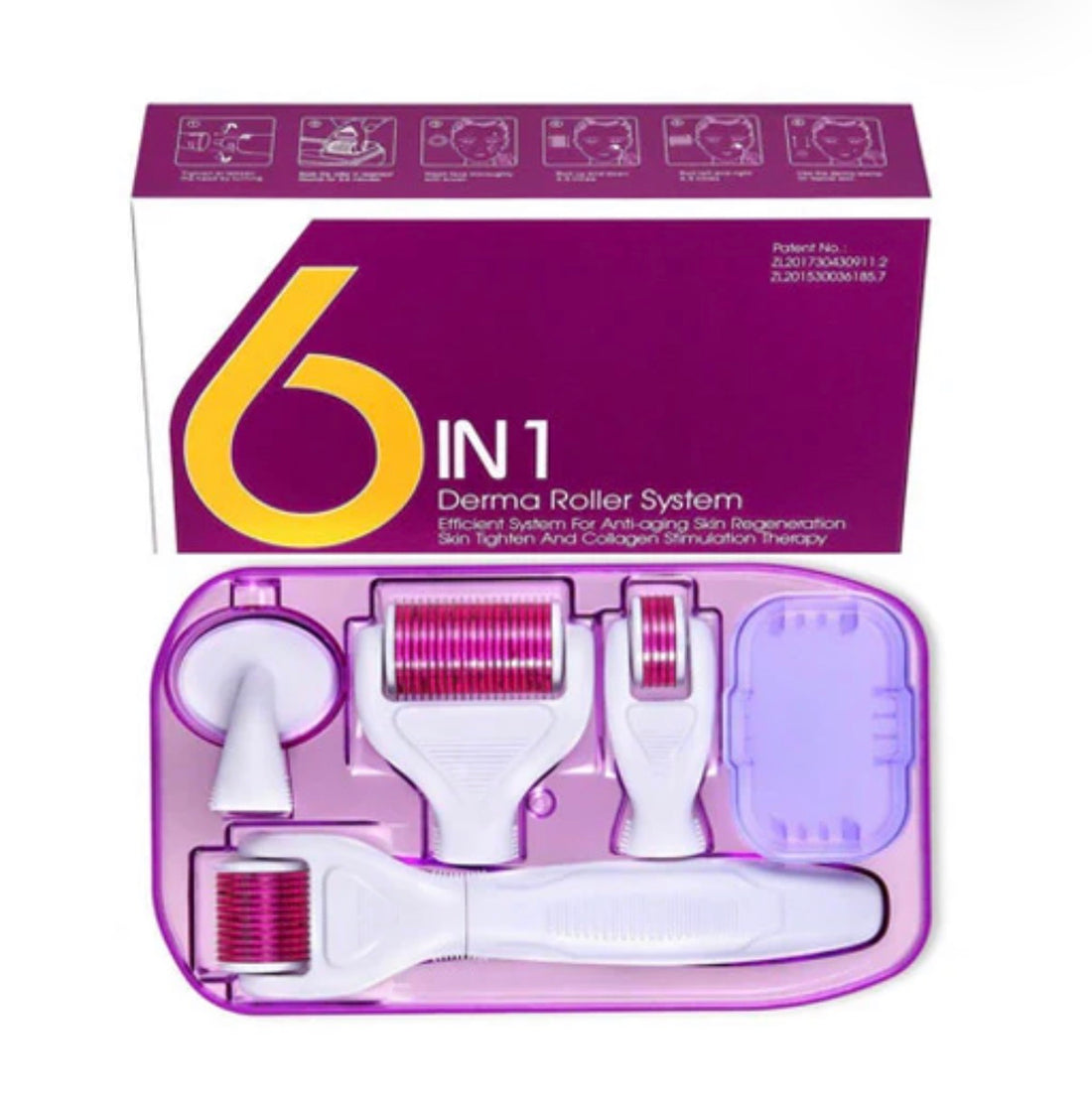 6 in 1 Derma Roller System